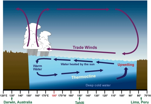 Evolución en el estudio del fenómeno ENSO (El Niño-Oscilación del Sur): de anomalía “local” a la predicción de variaciones climáticas globales